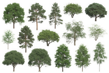 Obraz premium Set of various green trees collection isolated on white background