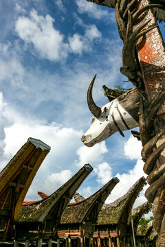 Row of Tongkonan houses in Kete Kesu village in Tana Toraja, Sulawesi, Indonesia, Asia