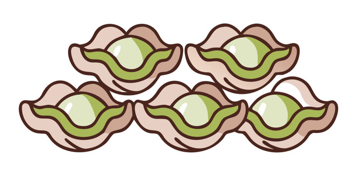 Stylized illustration of five open clams with pearls, vector