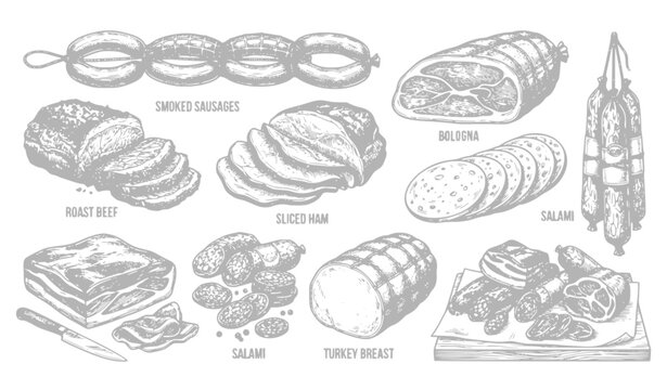Hand Drawn Deli Meats Vector Set with Sausages Ham Bologna Roast Beef and Charcuterie Elements