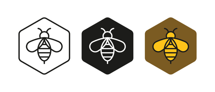 Honey bee icon set vector illustration with honeycomb hexagon frame