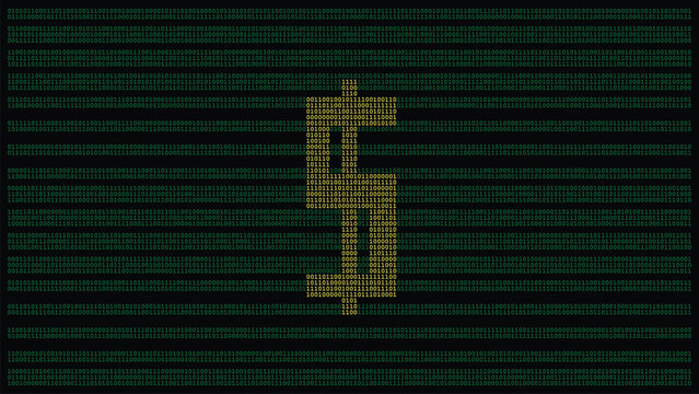 235_digital_dollar_sign_binary_grid_background