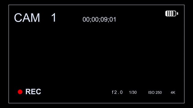 Camera 1 or CAM 1 Surveillance Camera Footage Overlay Animation with Alpha Channel, hacking or hacker, ideal for content to simulate reviewing security footage, documentary or other creative projects.
