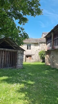 A traditional Galician stone horreo (granary) and rural outbuilding in a green meadow under a shady tree in Viveiro, Lugo province, Galicia, Spain, reflecting authentic rustic architecture.