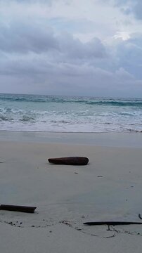 Sea waves washing over a piece of driftwood on the white sands of Radhanagar Beach, Havelock Island, Andaman, under a cloudy sky.