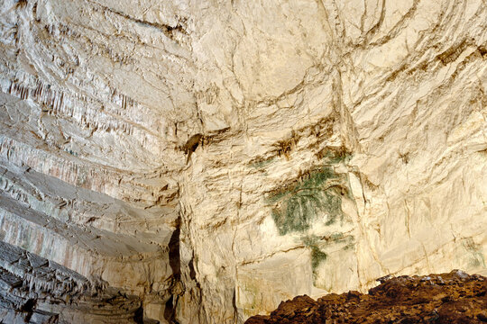Detailed cave ceiling with earthy textures and plant growth