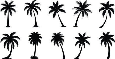 Obraz premium Black palm tree silhouettes vector set with tropical coconut trees isolated on white background for summer beach vacation design concept
