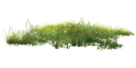 Fresh green grass patch growing in a meadow © vintage style
