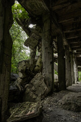 Naklejka premium Collapsed Concrete Building Ruins, Dark Post-Apocalyptic Demaged Factory Hidden Inside Dense Overgrown Forest.