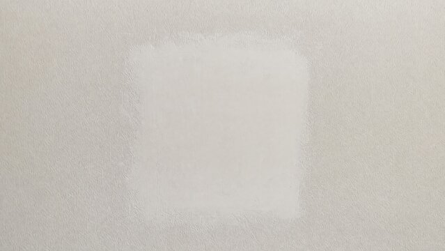 A section of a freshly repaired white wall, smooth spackle patch contrasting with older wall texture, soft diffused light.