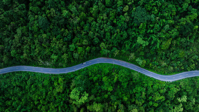 Aerial forest road surrounded by dense greenery representing sustainable mobility, ESG principles, and eco friendly infrastructure. Ideal for finance, environment, and corporate backgrounds.