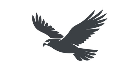 Fototapeta premium Dark silhouette of a hawk flying in the air.