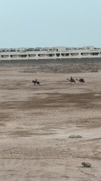 Egyptian landscape with caravan: one horse and two camels walking across golden desert dunes under sun.