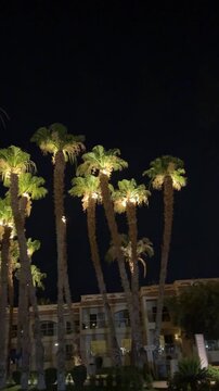 Palm trees illuminated by lights against night sky, tropical evening glow, magical resort atmosphere.