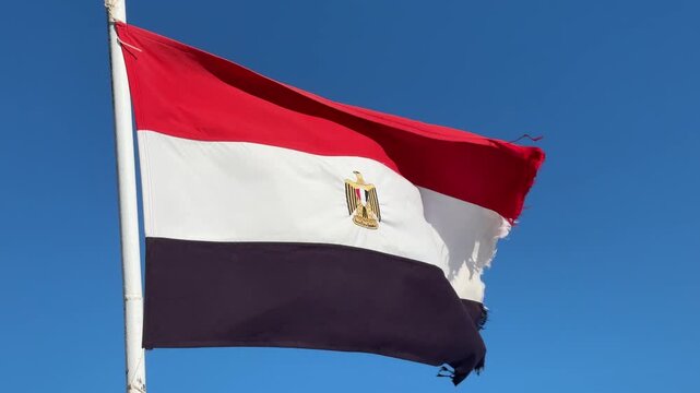 Egyptian flag waving against blue windy sky, red, white, black, eagle emblem, patriotic national symbol.