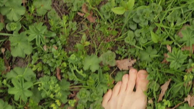 Top view of bare feet standing on green grass mixed with brown dry leaves. Khaki pants hem visible. Grounding, nature connection, freedom, calm, outdoor mindfulness. High quality FullHD footage