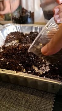 Hands Scooping up Potting Soil and Perlite Mix from Aluminum Foil Container into Plastic Cups with Spoons