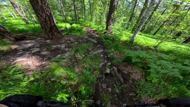A mountain biker riding along a narrow path in a dense forest, from a first person perspective. Extreme cycling in the mountains POV extreme mountain bike on a muddy trail. A cyclist rides off-road in