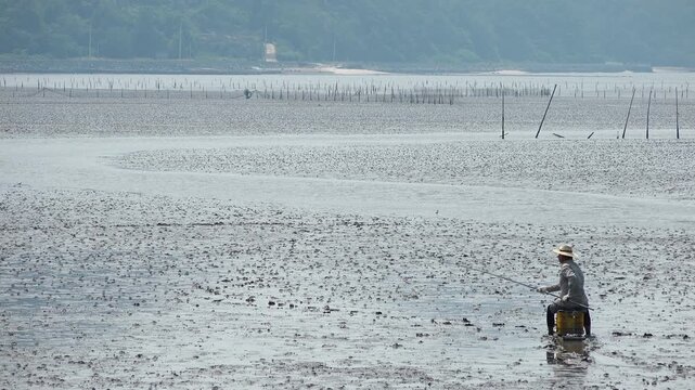 Korean traditional fishing bluespotted mudskipper Jjantungoe mudflat fisherman culture 대한민국 한국 전통 어업 수산업 짱뚱어낚시 전통낚시 갯벌 서남해안 순천만 보성 신안 어부 짱뚱어 홀치기낚시 전통어업 보양식 뻘배 바다 썰물 물빠짐 해안선 진흙 지형 생태계 자연 환경 야생동물 생물학 관찰