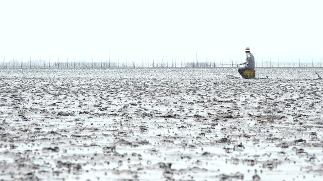 Korean traditional fishing bluespotted mudskipper Jjantungoe mudflat fisherman culture 대한민국 한국 전통 어업 수산업 짱뚱어낚시 전통낚시 갯벌 서남해안 순천만 보성 신안 어부 짱뚱어 홀치기낚시 전통어업 보양식 뻘배 바다 썰물 물빠짐 해안선 진흙 지형 생태계 자연 환경 야생동물 생물학 관찰