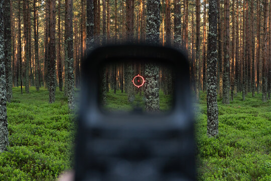 First person view aiming through holographic red dot sight reticle on rifle target in pine forest, tactical military simulation scouting or hunting concept