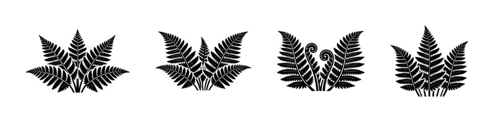 Collection of stylized black fern fronds in various arrangements © Compositor 