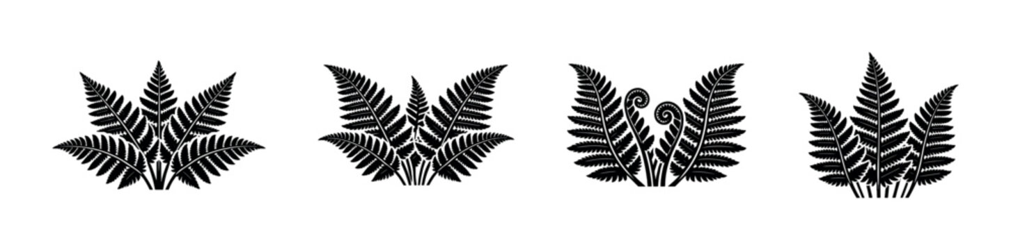 Collection of stylized black fern fronds in various arrangements