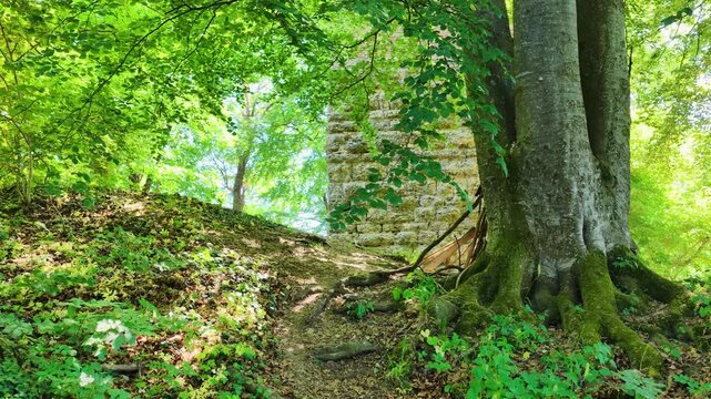 Historischer R&ouml;merturm inmitten eines dichten, gr&uuml;nen Waldst&uuml;cks, umgeben von weiten Feldern und Wiesen in einer idyllischen l&auml;ndlichen Landschaft aus der Vogelperspektive fotografiert.