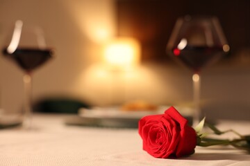 Fototapeta premium Romantic date. Beautiful red rose on table indoors, selective focus. Space for text