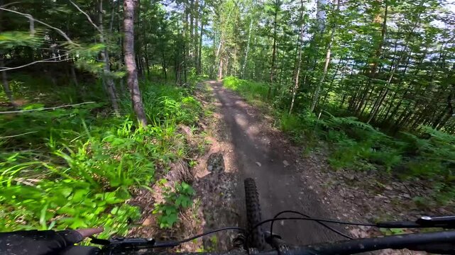 A mountain biker riding along a narrow path in a dense forest, from a first person perspective. Extreme cycling in the mountains POV extreme mountain bike on a muddy trail. A cyclist rides off-road in