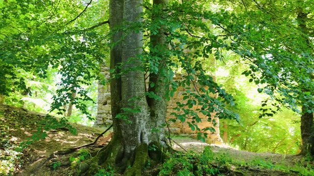 Historischer R&ouml;merturm inmitten eines dichten, gr&uuml;nen Waldst&uuml;cks, umgeben von weiten Feldern und Wiesen in einer idyllischen l&auml;ndlichen Landschaft aus der Vogelperspektive fotografiert.