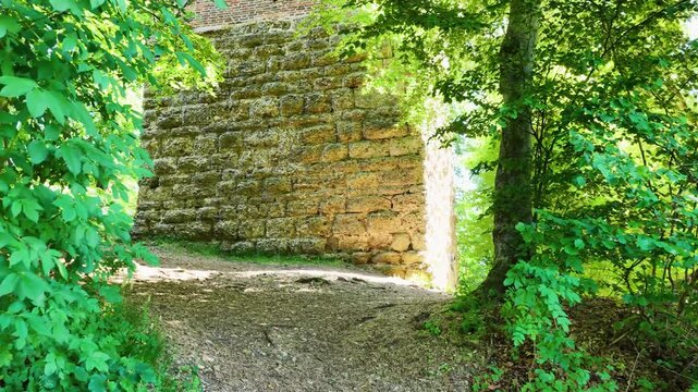 Historischer R&ouml;merturm inmitten eines dichten, gr&uuml;nen Waldst&uuml;cks, umgeben von weiten Feldern und Wiesen in einer idyllischen l&auml;ndlichen Landschaft aus der Vogelperspektive fotografiert.