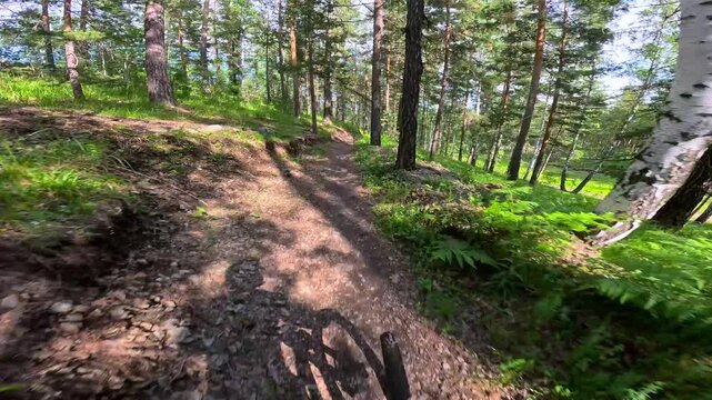 A mountain biker riding along a narrow path in a dense forest, from a first person perspective. Extreme cycling in the mountains POV extreme mountain bike on a muddy trail. A cyclist rides off-road in