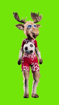 Funny Moose Juggling Soccer Ball on Green Screen &ndash; Looping 3D Animation 