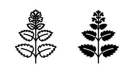 Herbal Plant Icons, Mint Leaf Vector Graphics, Botanical Outline and Silhouette, Fresh Greenery Elements © VECTOR STORE