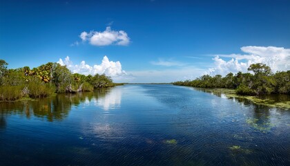Obraz premium coastal waterway near spring hill and weeki wachee florida