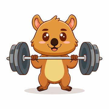 Cute cartoon quokka lifting weights