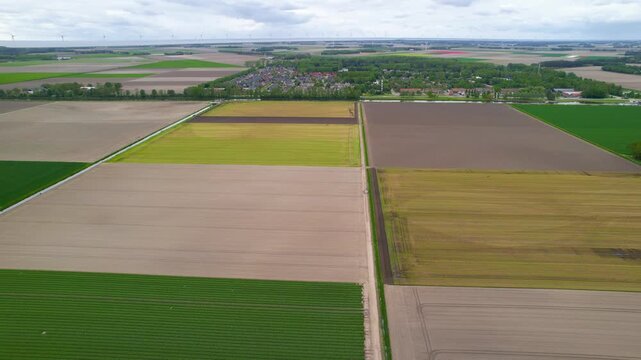 Aerial view of colorful sprawling dutch agricultural fields