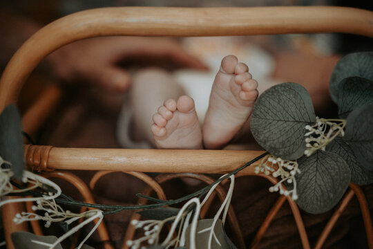 Petits pieds de nouveau-n&eacute; dans un berceau en rotin d&eacute;cor&eacute; de feuillage