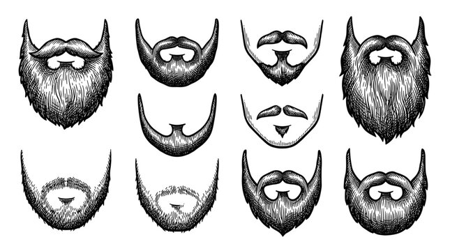 Collection of Diverse Beard Styles Hand Drawn Sketch Illustration