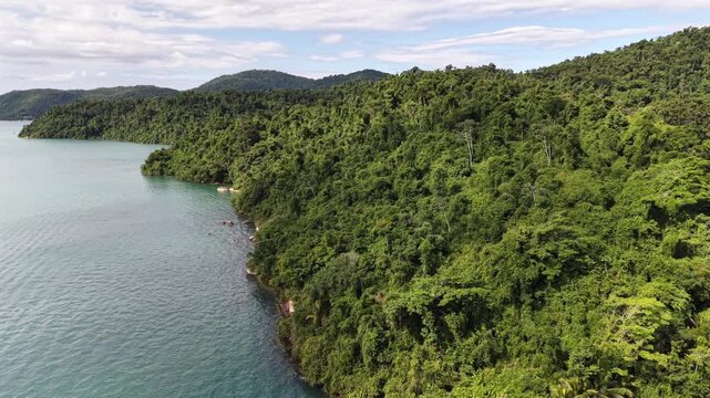 Lush Green Tropical Forest and Coastal Landscape