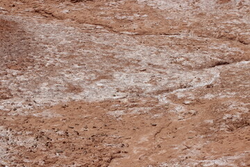 Obraz premium White Salt Deposits on Desert Ground