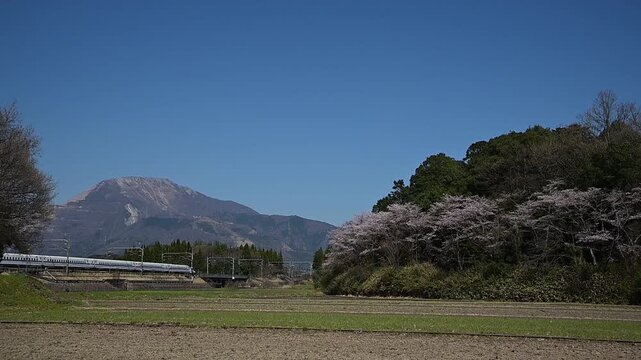 桜咲く伊吹山麓を走る東海道新幹線N700A（東海道新幹線 岐阜羽島 - 米原, 2026年4月）