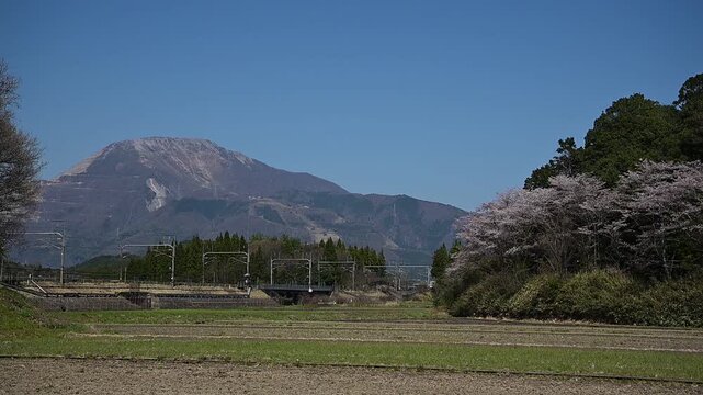 桜咲く伊吹山麓を走る東海道新幹線N700A（東海道新幹線 岐阜羽島 - 米原, 2026年4月）