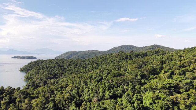 Forest Ridge Overlooking a Calm Tropical Sea