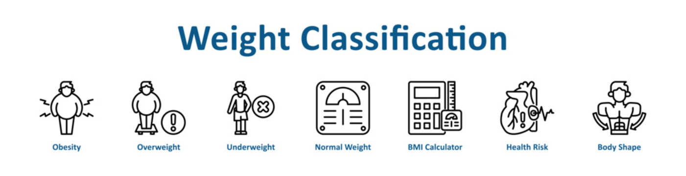 Weight Classification web icon banner with line art style