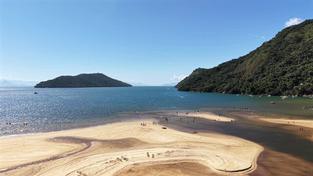 High Angle View of a Sandy Beach and Forested Bay
