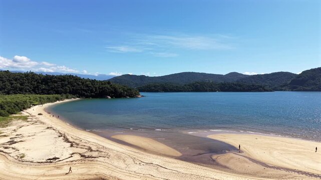 Sunny Tropical Coastline with Beach and Green Forest