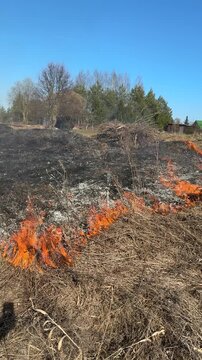 Middle phase of rural grassland burn during dry summer showing advancing low-intensity flame front moving left-to-right across foreground and midground, consuming dead brown grass