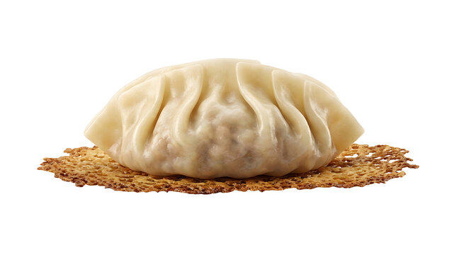 Pan-fried Japanese pork gyoza dumpling with crispy lace skirt isolated on a white  background